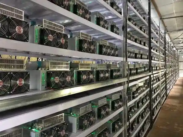 A expansive mining farm in France dedicated to Kaspa and similar cryptocurrencies, highlighting the organized infrastructure for hosting and operating miners