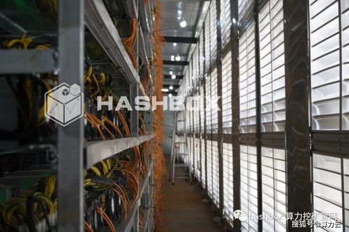 High-performance mining rig operating efficiently