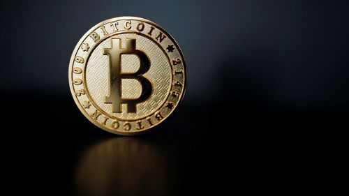 Bitcoin's dominant role in cryptocurrency mining and exchange markets